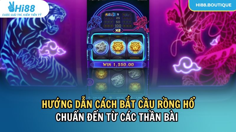 Cách Bắt Cầu Rồng Hổ