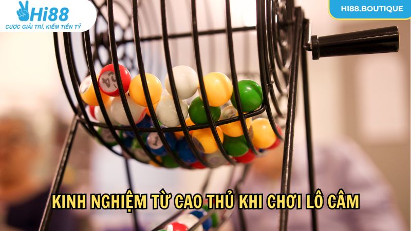 Kinh nghiệm từ cao thủ khi chơi lô câm