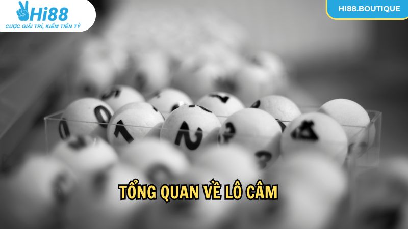 Tổng quan về lô câm cho cược thủ